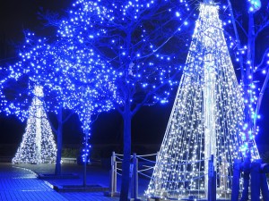 寺ヶ池公園 イルミネーション