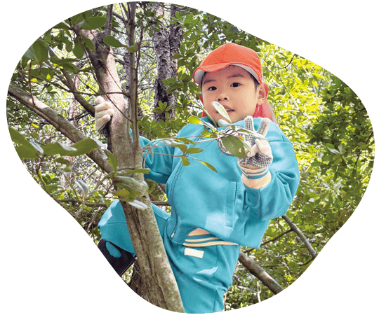 木登りをするこども