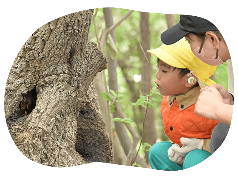 こどもと同じ目線で自然を見つめる学生