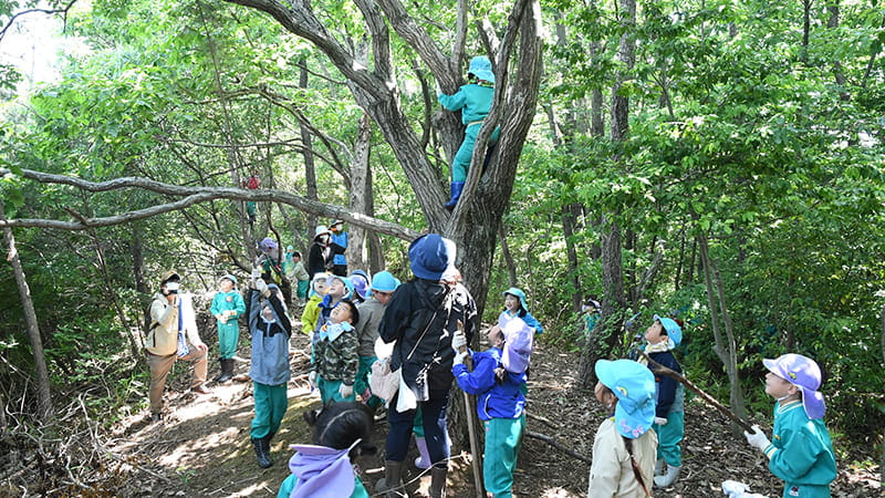 木登りをしているこどもたち
