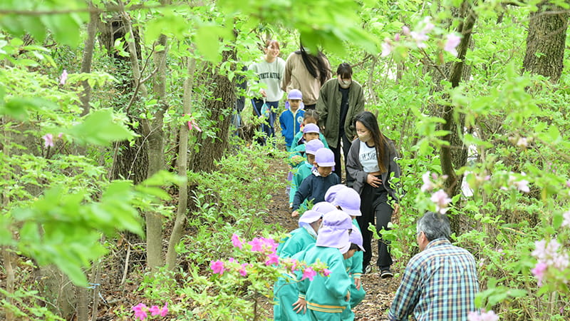緑豊かなちよたんの森の中をこどもたちと学生たちが歩いている